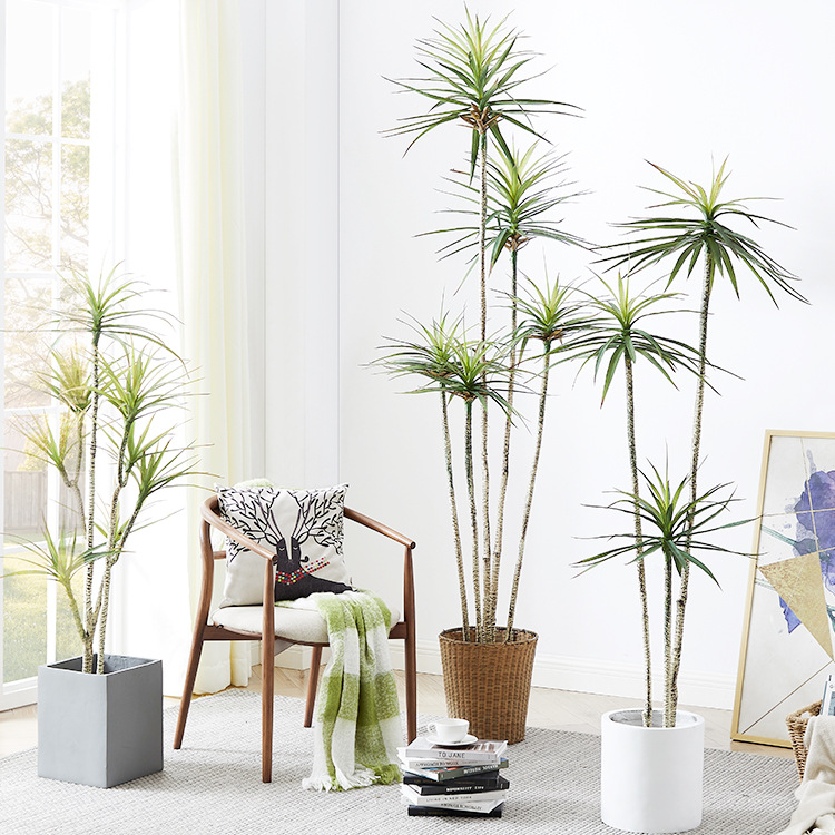 人工プラスチック製の鉢植え ​ 植物 ドラセナ マルギナータ - Dracaena Marginata のレビューと価格